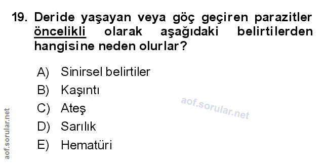 Soru 19