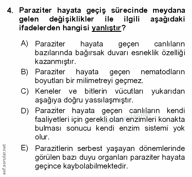 Soru 4