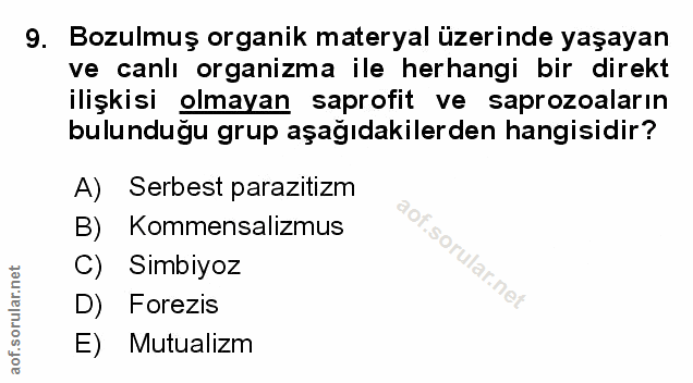 Soru 9