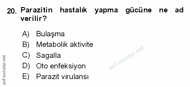 Soru 20