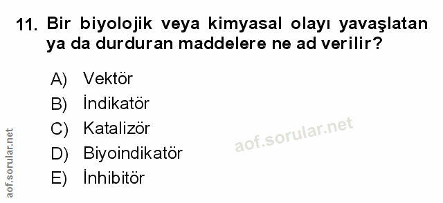 Soru 11