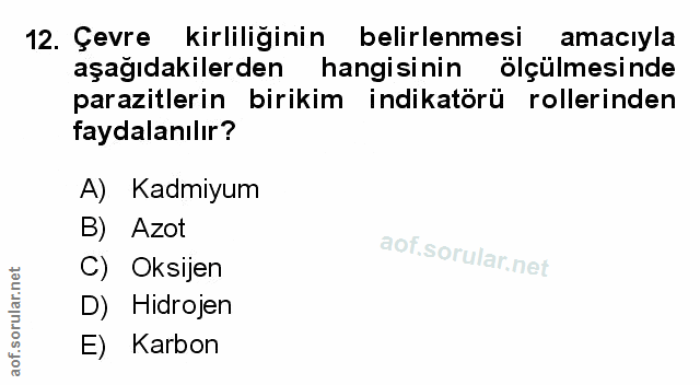 Soru 12