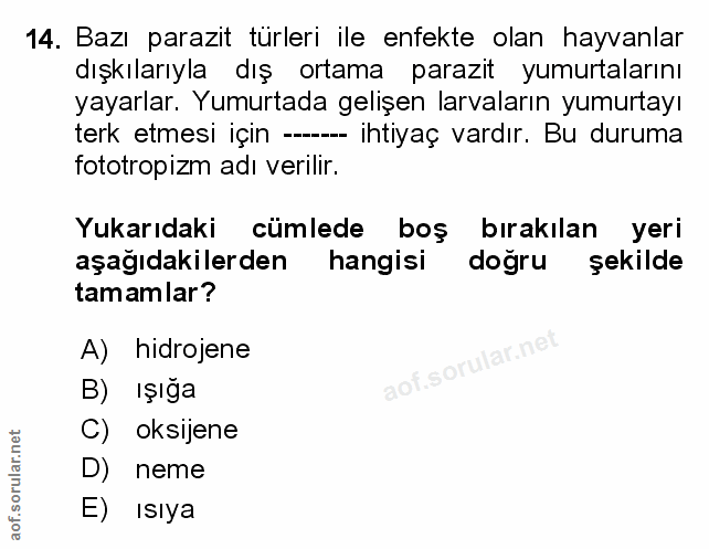 Soru 14