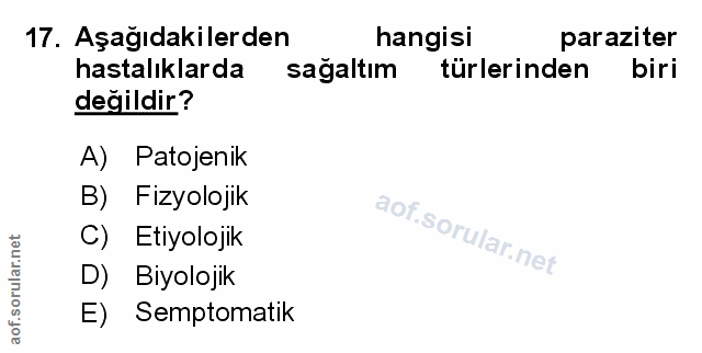 Soru 17