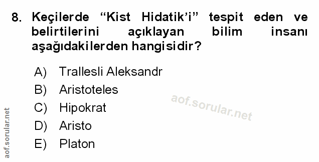 Soru 8