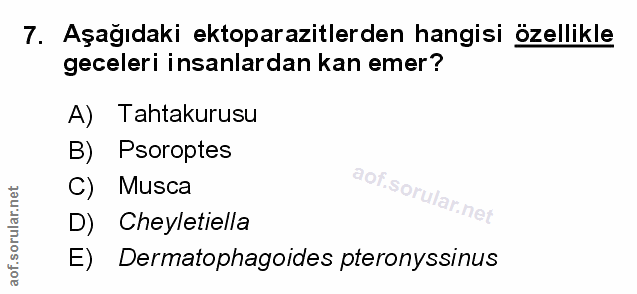 Soru 7