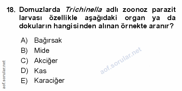 Soru 18