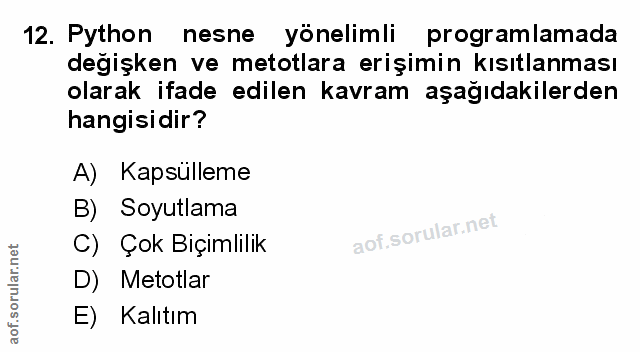 Soru 12