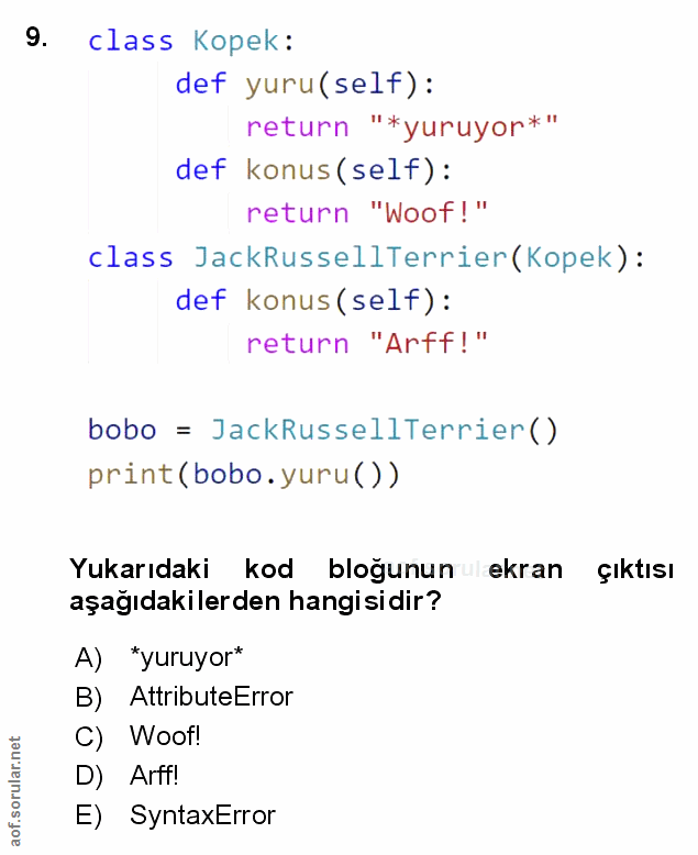 Soru 9