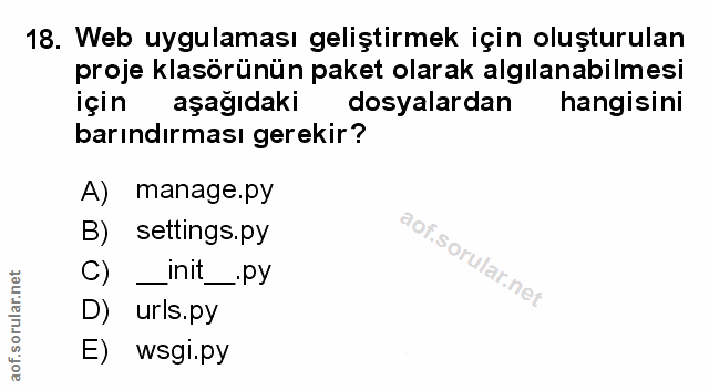 Soru 18