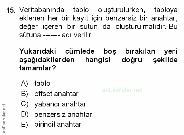 Soru 15