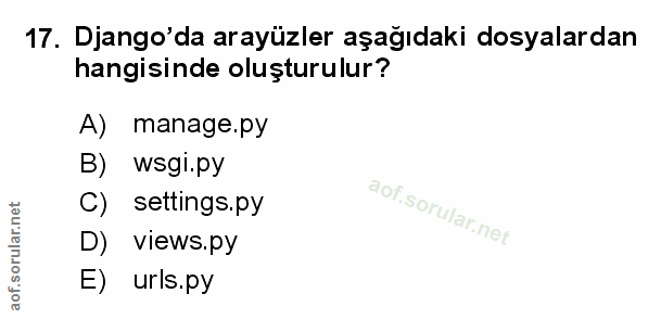 Soru 17