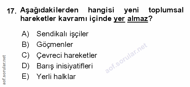 Soru 17