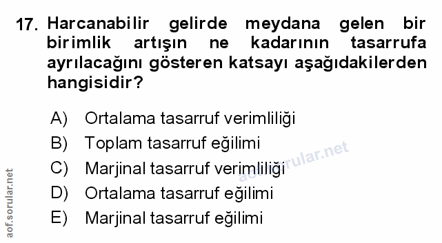 Soru 17