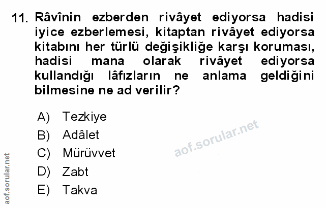 Soru 11