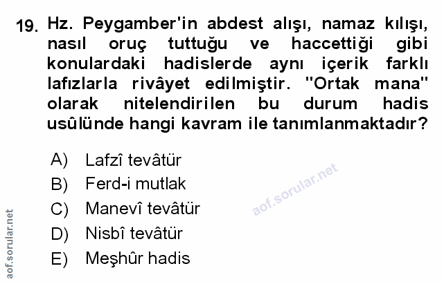 Soru 19