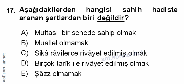 Soru 17