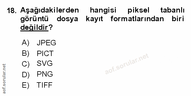 Soru 18