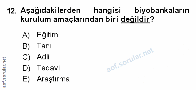 Soru 12
