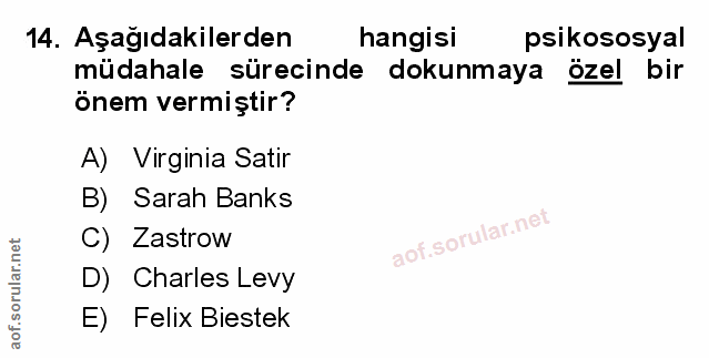 Soru 14