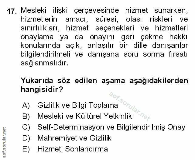 Soru 17
