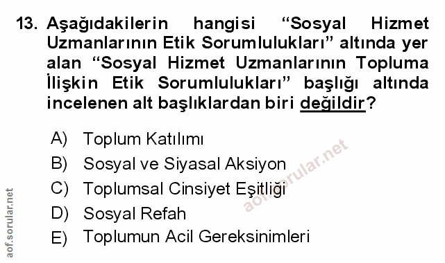 Soru 13