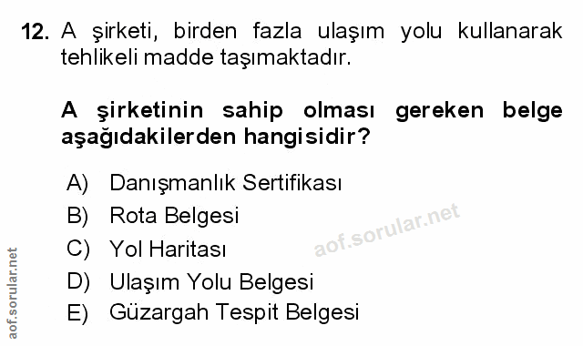 Soru 12