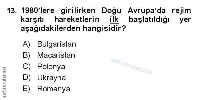 Soru 13