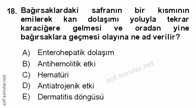 Soru 18