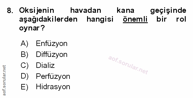 Soru 8