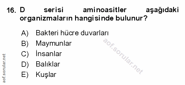 Soru 16