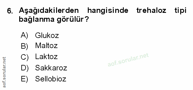 Soru 6