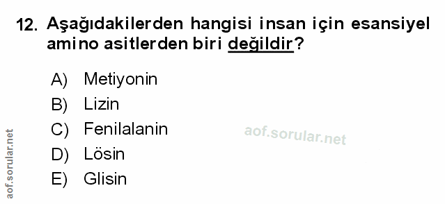 Soru 12