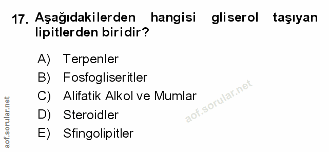 Soru 17