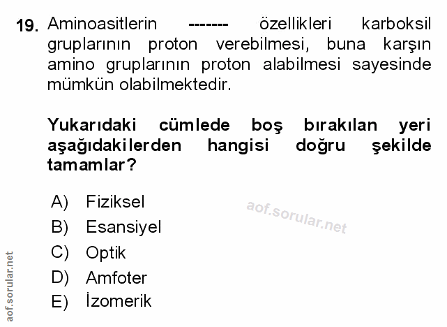 Soru 19