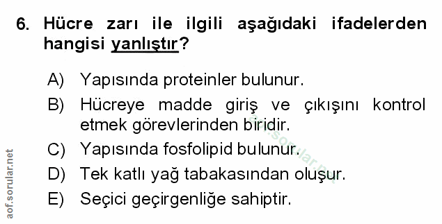 Soru 6