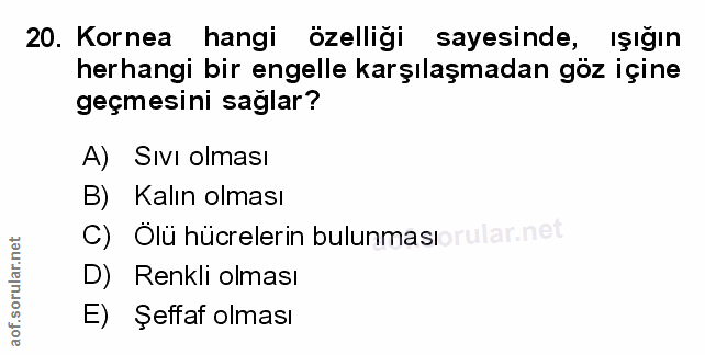 Soru 20