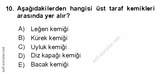 Soru 10