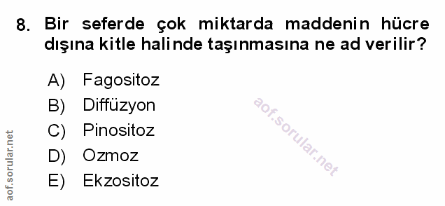 Soru 8