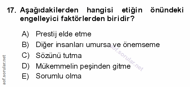 Soru 17