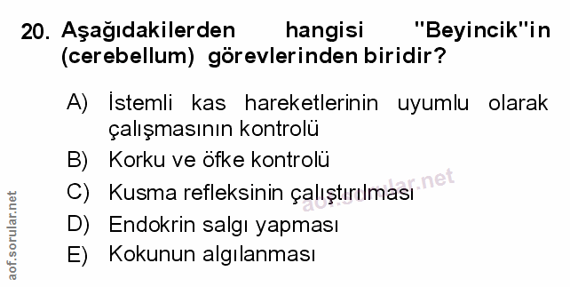 Soru 20