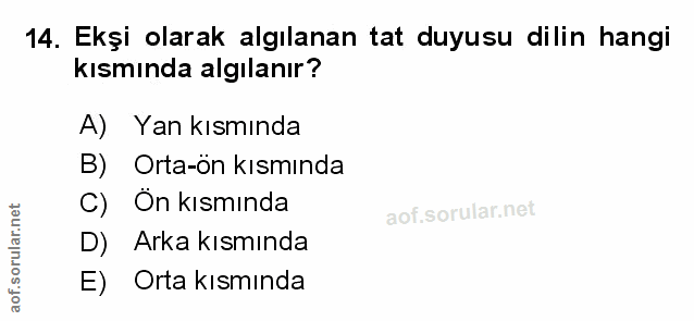 Soru 14