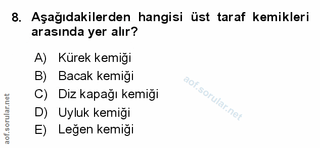Soru 8