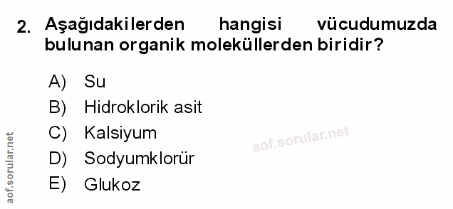 Soru 2