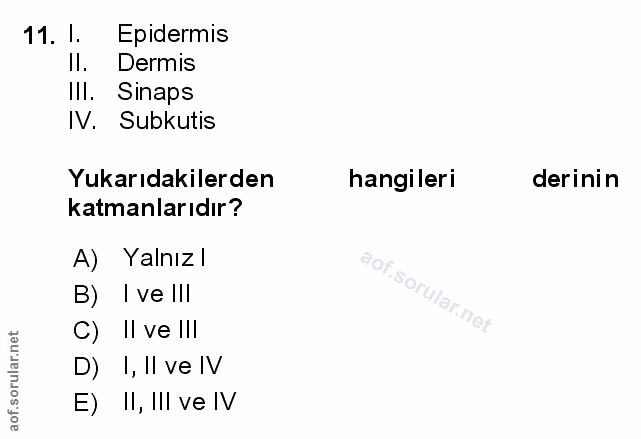 Soru 11