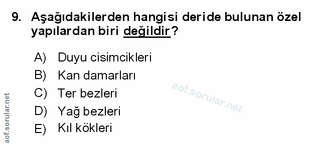 Soru 9