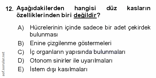 Soru 12