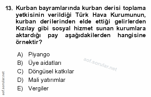 Soru 13