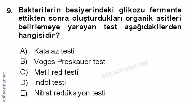 Soru 9