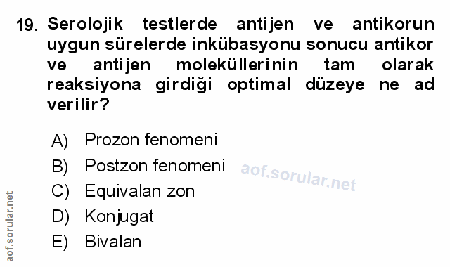 Soru 19